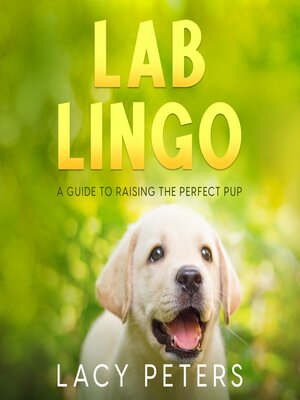 cover image of Lab Lingo